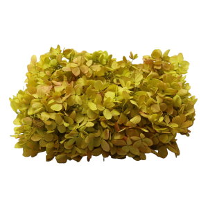 }ւŔ n_I vU[uht[ us~bhAWTCEwbhiOf[Vj 2 IׂvvU hCt[ ԍ  n[oE  킢 v[