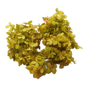 n_I vU[uht[ us~bhAWTCEwbhiOf[Vj 1 IׂvvU hCt[ ԍ  n[oE  킢 v[g 蕨 I