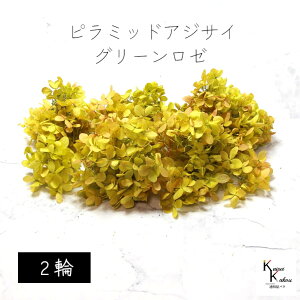 [ւŔ n_I vU[uht[ us~bhAWTCEwbhiOf[Vj 2 O[[vvU hCt[ ԍ  n[oE  킢 