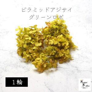 n_I vU[uht[ us~bhAWTCEwbhiOf[Vj 1 O[[vvU hCt[ ԍ  n[oE  킢 v[g 