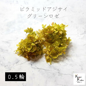 n_I vU[uht[ us~bhAWTCEwbhiOf[Vj 0.5 O[[vvU hCt[ ԍ  n[oE  킢 v[g 