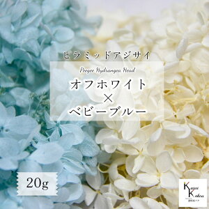  n_ vU[uht[@us~bhAWTC 2FZbg ItzCg×xr[u[ 킹20gv lߍ킹 20g \tgs~bhAWTC vU AWTC z