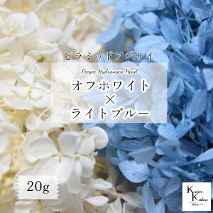  n_ vU[uht[@us~bhAWTC 2FZbg ItzCg×Cgu[ 킹20gv lߍ킹 20g \tgs~bhAWTC vU AWTC z