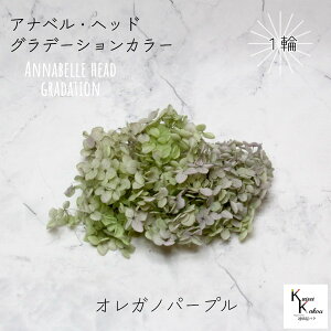 n_I vU[uht[ u\tgAixAWTCEwbhiOf[Vj IKmp[v 1ցv AWTC vU hCt[ ԍ  n[oE  킢