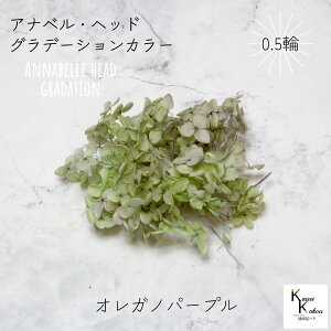 n_I vU[uht[ u\tgAixAWTCEwbhiOf[Vj IKmp[v 0.5ցv AWTC vU hCt[ ԍ  n[oE  