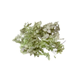 n_I vU[uht[ u\tgAixAWTCEwbhiOf[Vj J[Iׂ 0.5ցv AWTC vU hCt[ ԍ  n[oE  킢