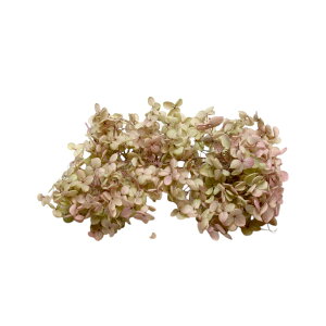 n_I vU[uht[ u\tgAixAWTCEwbhiOf[Vj J[Iׂ 1ցv AWTC vU hCt[ ԍ  n[oE  킢