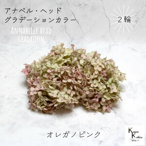 }ւŔ n_I vU[uht[ u\tgAixAWTCEwbhiOf[Vj IKmsN 2ցv AWTC vU hCt[ ԍ  n[oE 