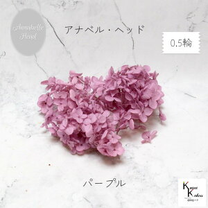 n_IvU[uht[ u\tgAixAWTC p[v 0.5֕v vU@AWTC@z ԍ n[oE  킢 v[g 蕨@II`mEG \t