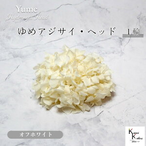 n_I vU[uht[ u߃AWTC ItzCg 1֕v AWTC