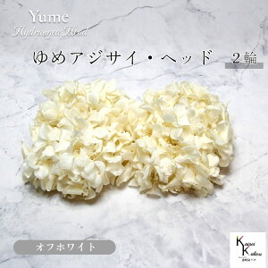 [ւŔ n_I vU[uht[ u߃AWTC ItzCg 2֕v AWTC