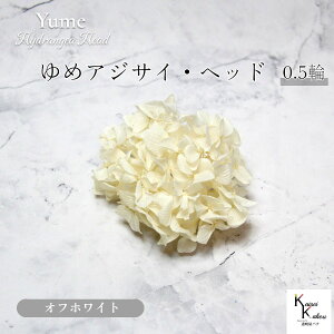 n_I vU[uht[ u߃AWTC ItzCg 0.5֕v AWTC