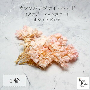 n_I vU[uht[ uJVoAWTC (Of[V) zCgsN 1֕v AWTC