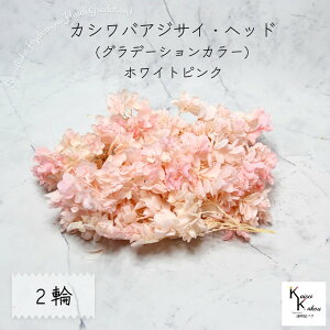 [ւŔ n_I vU[uht[ uJVoAWTC (Of[V) zCgsN 2֕v AWTC