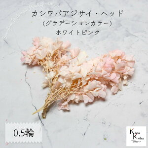 n_I vU[uht[ uJVoAWTC (Of[V) zCgsN 0.5֕v AWTC