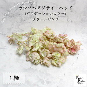 }ւŔ n_I vU[uht[ uJVoAWTC (Of[V) O[sN 1֕v AWTC