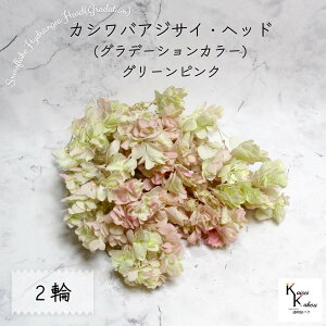 [ւŔ n_I vU[uht[ uJVoAWTC (Of[V) O[sN 2֕v AWTC