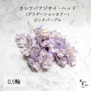 [ւŔ n_I vU[uht[ uJVoAWTC (Of[V) sNp[v 0.5֕v AWTC