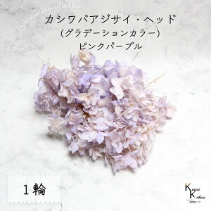 [ւŔ n_I vU[uht[ uJVoAWTC (Of[V) sNp[v 1֕v AWTC