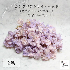 }ւŔ n_I vU[uht[ uJVoAWTC (Of[V) sNp[v 2֕v AWTC