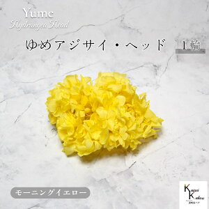 n_I vU[uht[ u߃AWTC [jOCG[ 1֕v AWTC