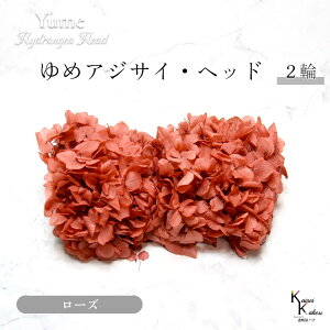 }ւŔ n_I vU[uht[ u߃AWTC [Y 2֕v AWTC