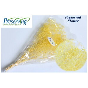 n_IvU[uht[@10gy\tg~jJX~@GWFCG[zvU@JX~\E@JX~@ ԍ n[oE  킢 v[g 蕨@II`m