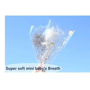 n_IvU[uht[ 5gyX[p[\tg~jJX~@S[hzvU@JX~@JX~\E ԍ n[oE  킢 v[g 蕨@II`mEG