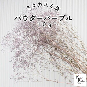 n_IvU[uht[u~jJX~ pE_[p[v 10gvvU JX~ JX~\E ԍ n[oE  킢 v[g 蕨 II`mEG