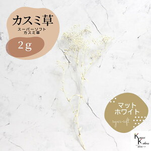 un_ X[p[\tg~jJX~ }bgzCg 2gv hCt[ ԍ n[oE f  AWg Mtg ̓ a II`mEG vU[uht