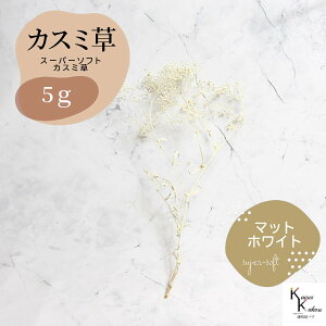 un_ X[p[\tg~jJX~ }bgzCg 5gv hCt[ ԍ n[oE f  AWg Mtg ̓ a II`mEG vU[uht