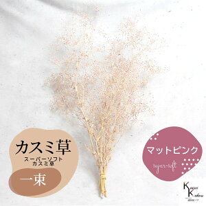 宅急便で発送 「大地農園 スーパーソフトミニカスミ草 選べるマットカラー 一束」 ドライフラワー 花材 ハーバリウム 素材 小さいお花 アレンジメント ギフト 母の日 お誕生日 オオチノウ