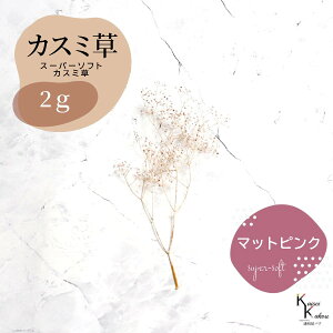 un_ X[p[\tg~jJX~ }bgsN 2gv hCt[ ԍ n[oE f  AWg Mtg ̓ a II`mEG vU[uht