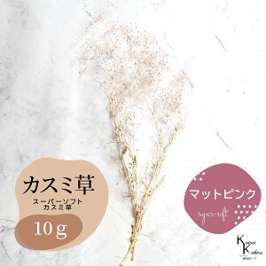 un_ X[p[\tg~jJX~ Iׂ}bgJ[ 10gv hCt[ ԍ n[oE f  AWg Mtg ̓ a II`mEG vU[u