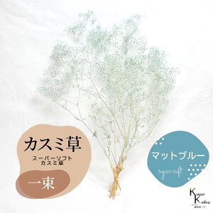 メール便で発送 「大地農園 スーパーソフトミニカスミ草 選べるマットカラー 一束」 ドライフラワー 花材 ハーバリウム 素材 小さいお花 アレンジメント ギフト 母の日 お誕生日 オオチノ