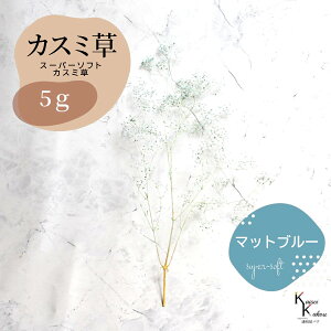 un_ X[p[\tg~jJX~ }bgu[ 5gv hCt[ ԍ n[oE f  AWg Mtg ̓ a II`mEG vU[uht