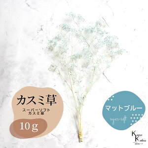 un_ X[p[\tg~jJX~ Iׂ}bgJ[ 10gv hCt[ ԍ n[oE f  AWg Mtg ̓ a II`mEG vU[u