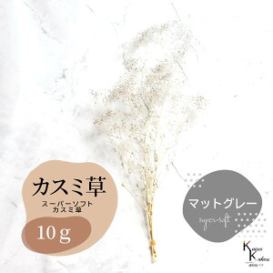 un_ X[p[\tg~jJX~ }bgO[ 10g v hCt[ ԍ n[oE f  AWg Mtg ̓ a II`mEG vU[uht