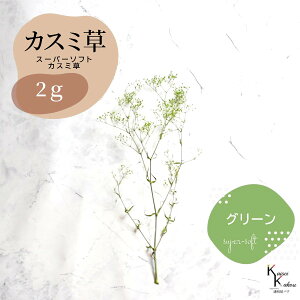 un_ X[p[\tg~jJX~ O[ 2g v hCt[ ԍ n[oE f  AWg Mtg ̓ a II`mEG vU[uht[ 