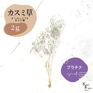 un_ X[p[\tg~jJX~ v`i 2g v hCt[ ԍ n[oE f  AWg Mtg ̓ a II`mEG vU[uht[ 