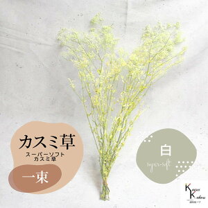 }ւŔ un_ X[p[\tg~jJX~EtA  1 v hCt[ ԍ n[oE f  AWg Mtg ̓ a II`mEG v