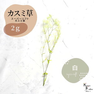 un_ X[p[\tg~jJX~EtA  2g v hCt[ ԍ n[oE f  AWg Mtg ̓ a II`mEG vU[uht