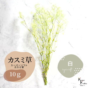 un_ X[p[\tg~jJX~EtA  10g v hCt[ ԍ n[oE f  AWg Mtg ̓ a II`mEG vU[uht