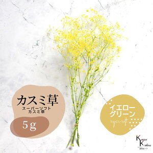 un_ X[p[\tg~jJX~EtA CG[/O[ 5gv hCt[ ԍ n[oE f  AWg Mtg ̓ a II`mEG v