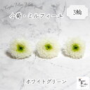 大地農園「小菊ミルフィーユ ホワイトグリーン 3輪」プリザーブドフラワー　プリザ　ハーバリウム　小花 ドライフラワー ハーバリウム アロマワックスバー