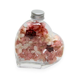 u[Wn[gAWg Zbg sNorzCgvvU ԍ n[oE  킢 v[g 蕨@II`mEG o^Cf[ zCgf[ ̓