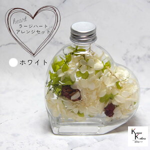 u[Wn[gAWg Zbg zCgvvU ԍ n[oE  킢 v[g 蕨@II`mEG o^Cf[ zCgf[ ̓