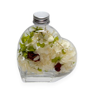 u[Wn[gAWg Zbg sNorzCgvvU ԍ n[oE  킢 v[g 蕨@II`mEG o^Cf[ zCgf[ ̓