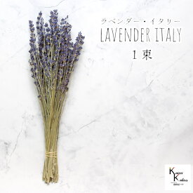 大地農園！プリザーブドフラワー 「ラベンダー・イタリー　1束」プリザ 花材 ハーバリウム オオチノウエン リラックス 抗菌 疲労回復 睡眠改善 インテリア おしゃれ かわいい プレゼント 贈り物
