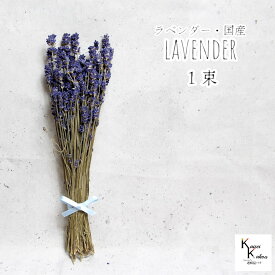 大地農園！プリザーブドフラワー 「ラベンダー・国産 1束」プリザ 花材 ハーバリウム オオチノウエン リラックス 抗菌 疲労回復 睡眠改善 インテリア おしゃれ かわいい プレゼント 贈り物